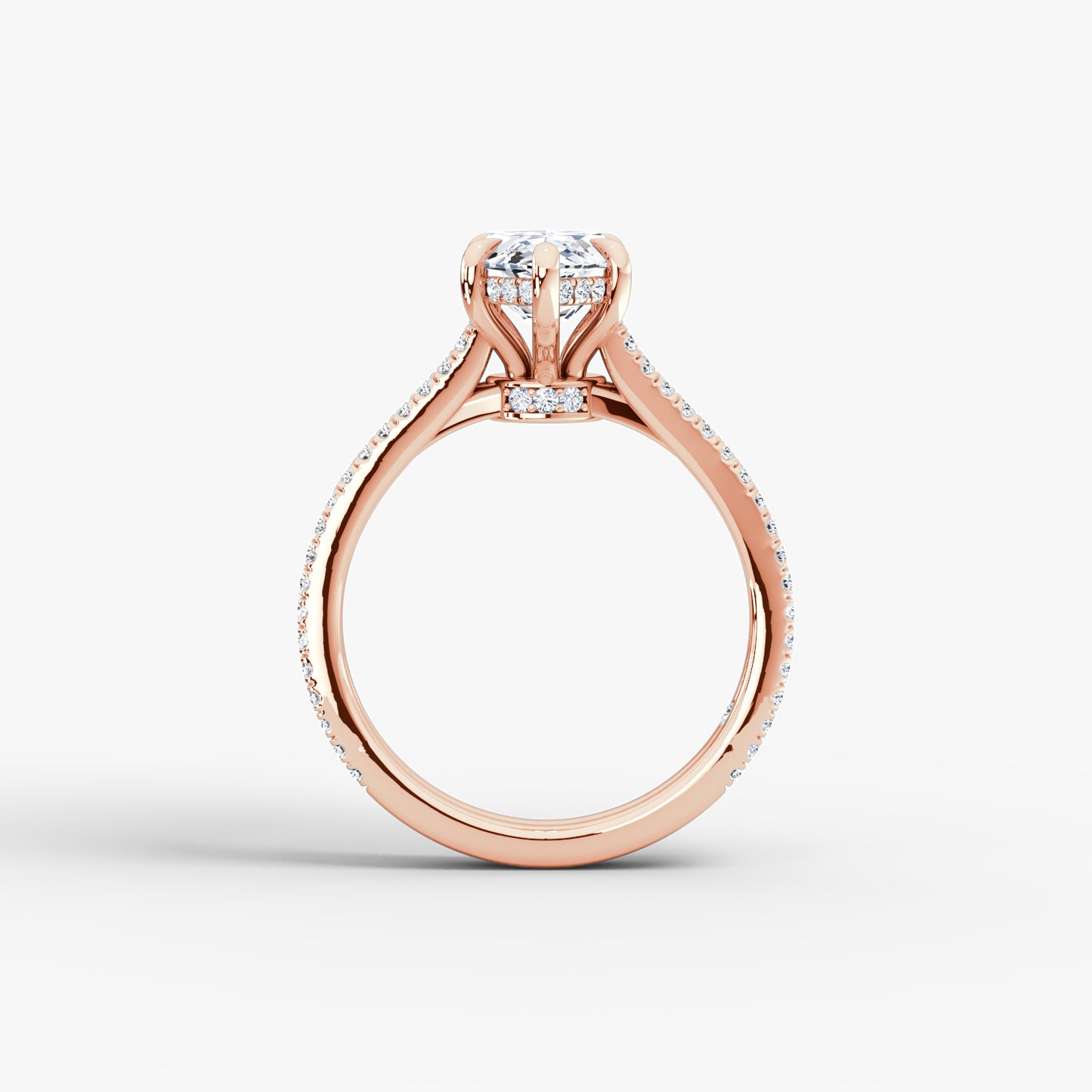 NOVA Double Band