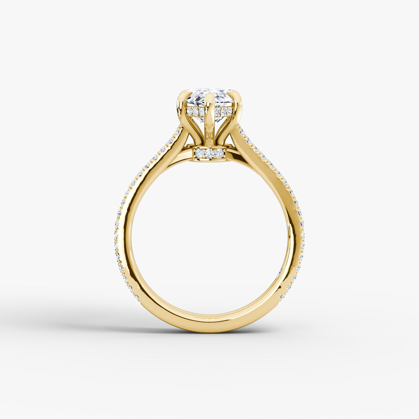 NOVA Double Band